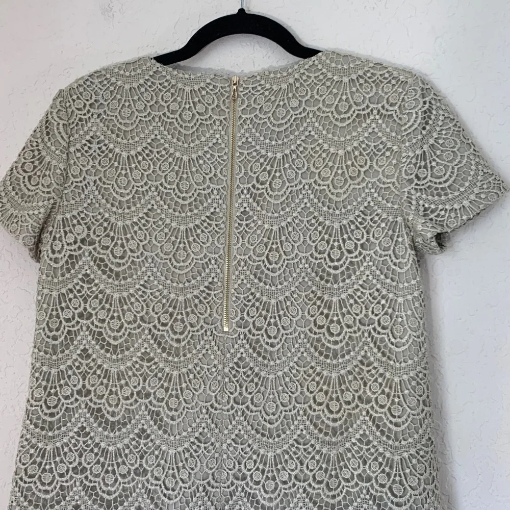 Ann Taylor Dress Champagne Sparkle Lace Shift Scalloped Sz 4 Party Wedding Guest